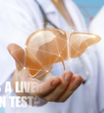Liver Function Test