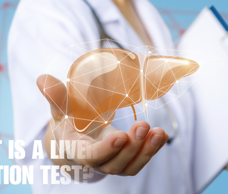 Liver Function Test