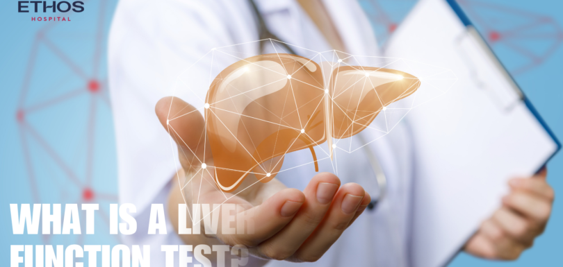 Liver Function Test