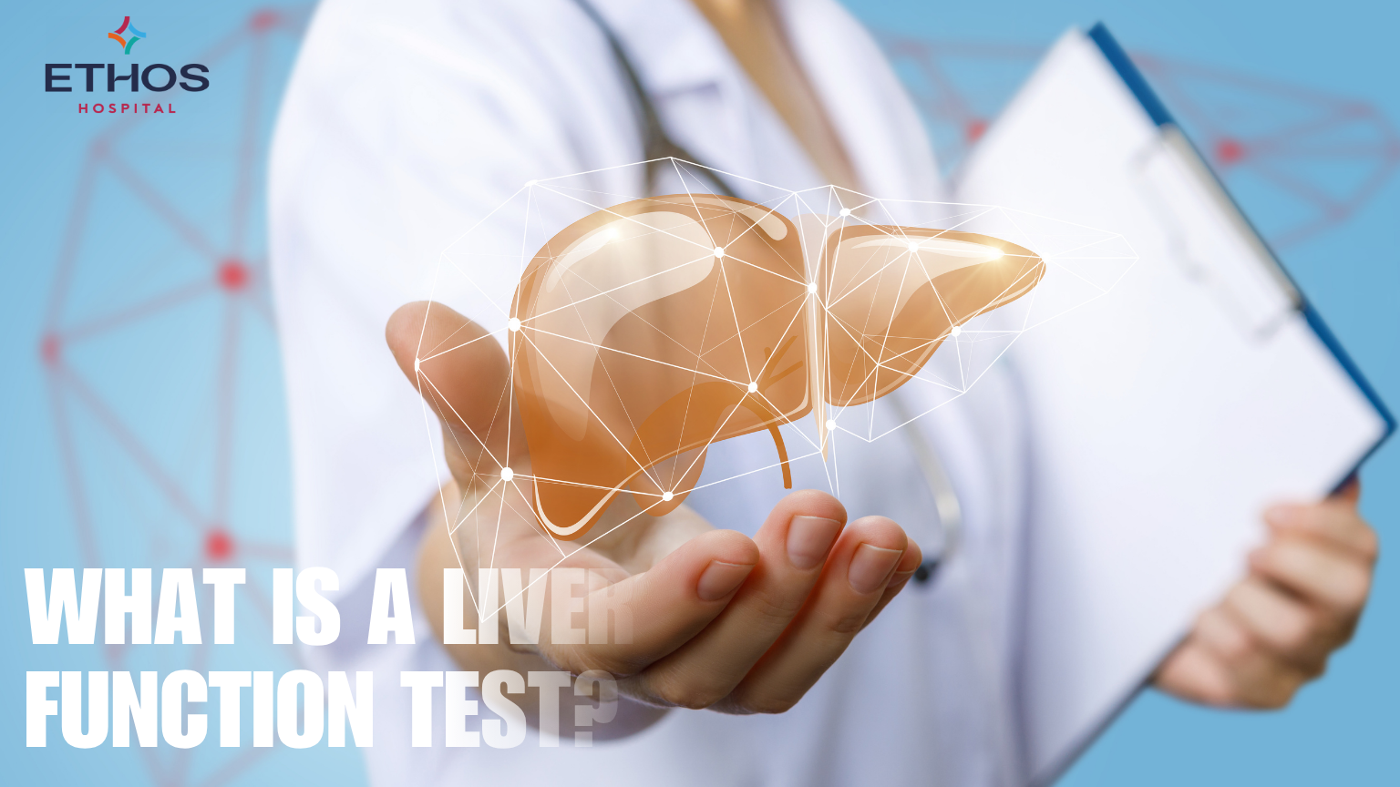 What Is a Liver Function Test? Purpose, Normal Range & Procedure Guide